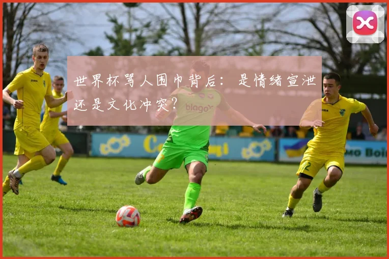 世界杯骂人围巾背后:是情绪宣泄还是文化冲突?