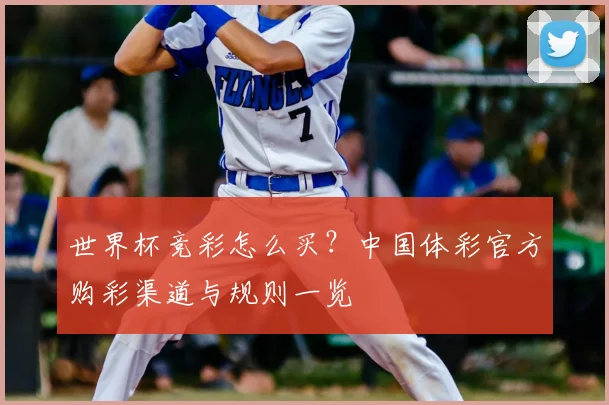 世界杯竞彩怎么买?中国体彩官方购彩渠道与规则一览