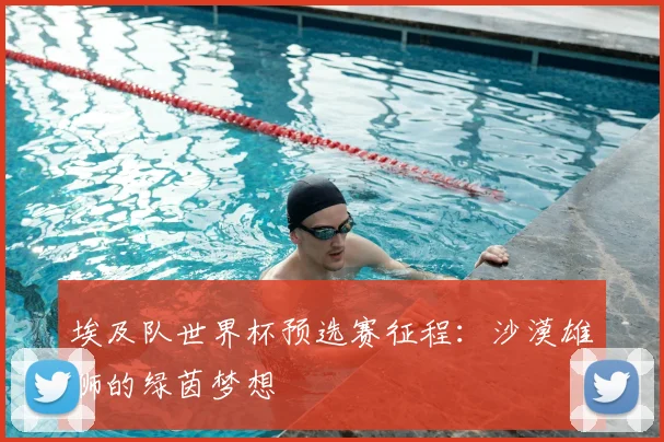 埃及队世界杯预选赛征程:沙漠雄狮的绿茵梦想