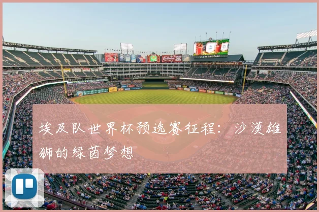 埃及队世界杯预选赛征程：沙漠雄狮的绿茵梦想