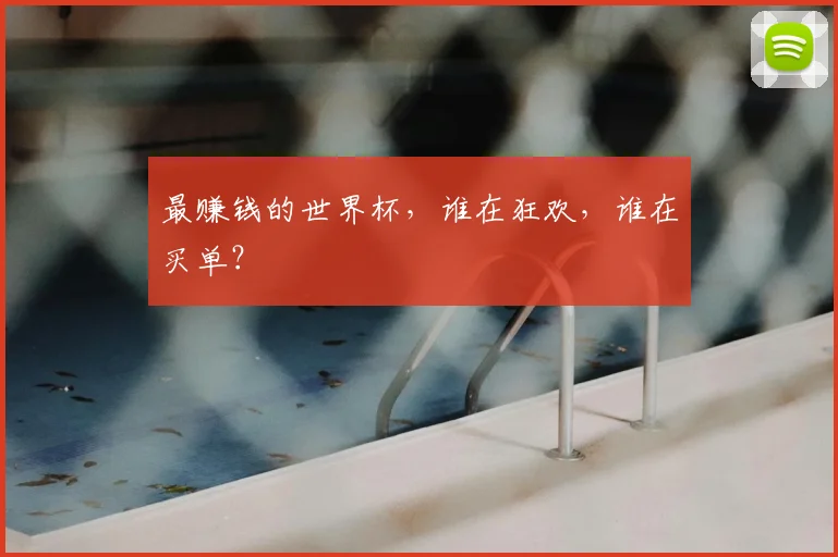 最赚钱的世界杯,谁在狂欢,谁在买单?