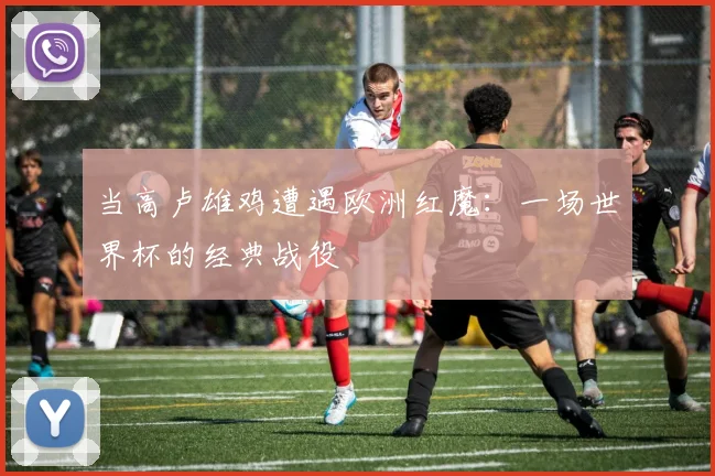 当高卢雄鸡遭遇欧洲红魔：一场世界杯的经典战役