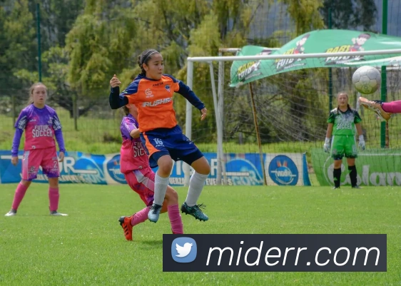 欧宝官方首页官网服务体系